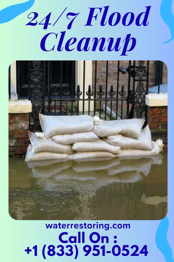 24/7 Flood Cleanup in Chandler, TX