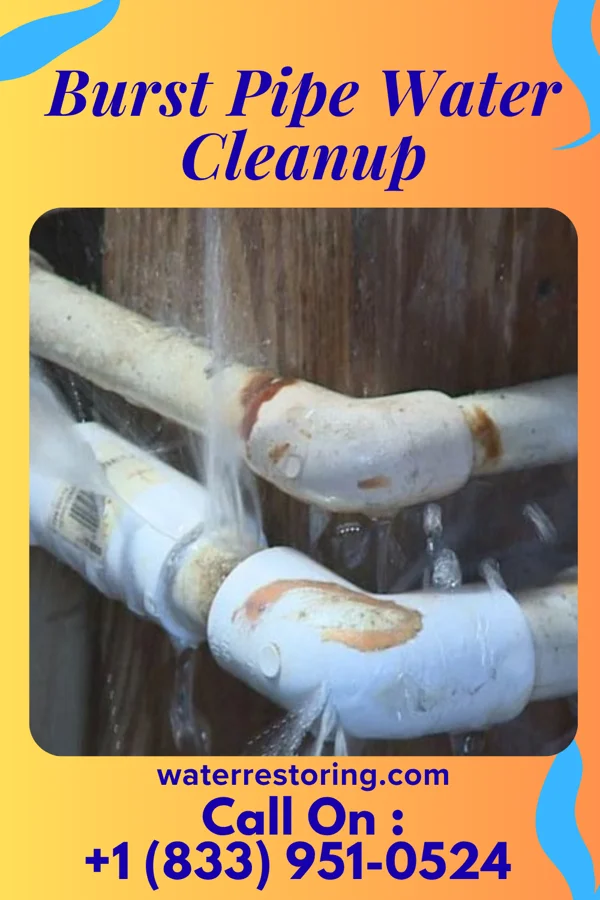 Burst Pipe Water Cleanup in Chandler, TX