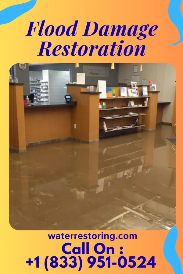Flood Damage Restoration in Chandler, TX