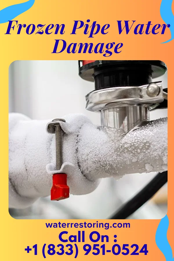Frozen Pipe Water Damage in Chandler, TX