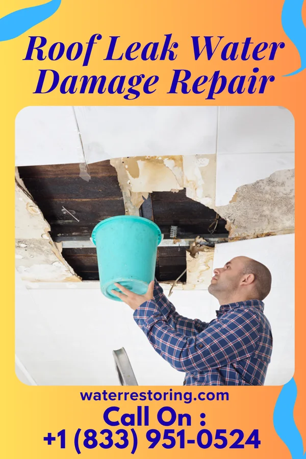 Roof Leak Water Damage Repair in Chandler, TX