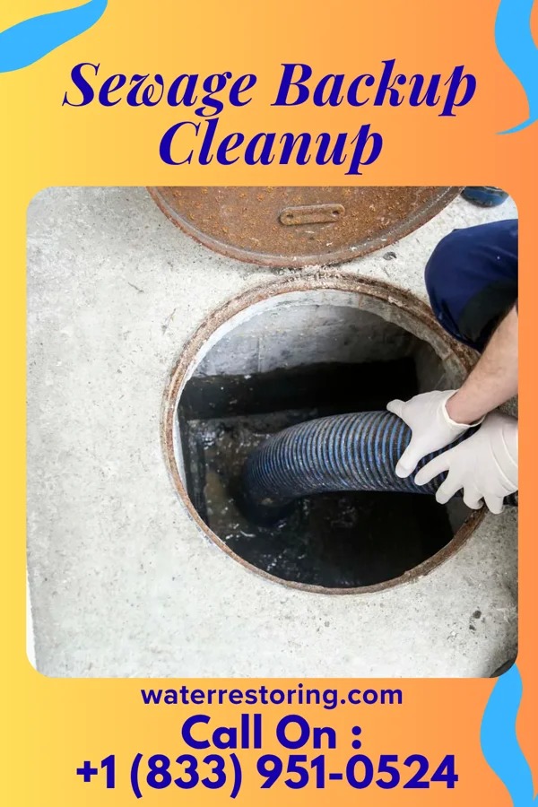 Sewage Backup Cleanup in Chandler, TX