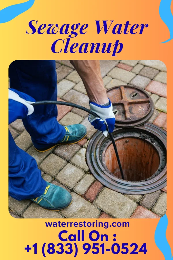Sewage Water Cleanup in Chandler, TX